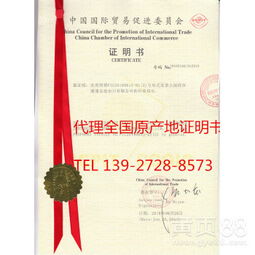 上海網(wǎng)上貿(mào)易代理 數(shù)字化時代的商業(yè)橋梁